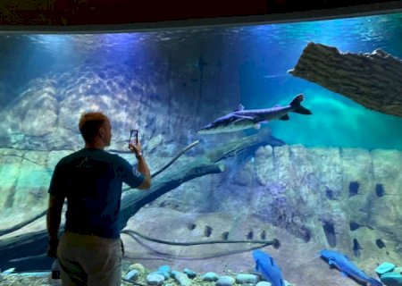 Bioparque Pantanal recebeu visitantes de 75 países