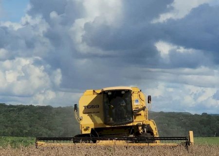 Chuvarada atrasa colheita da soja e preocupa, mas produtividade é revisada para cima
