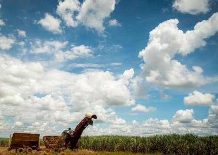Boletim Sucroenergético traz potencial produtivo e capacidade de moagem para cana em MS