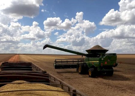 Mato Grosso do Sul não colheu nem metade da área de soja por causa da chuva