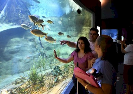 Bioparque garante inclusão de pessoas cegas com visitas guiadas e uso de tecnologia