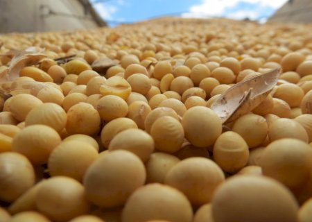 Mato Grosso do Sul deve concluir colheita da soja nesta semana