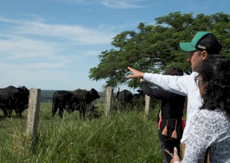 Missão técnica do México visita MS para auditoria nos sistemas de produção