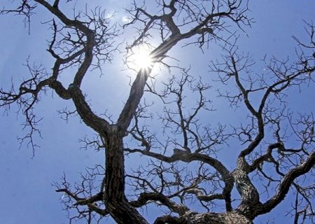 Domingo de Páscoa deve ter frio em regiões de MS