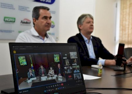 MS criará sistema de alerta e monitoramento da gripe aviária