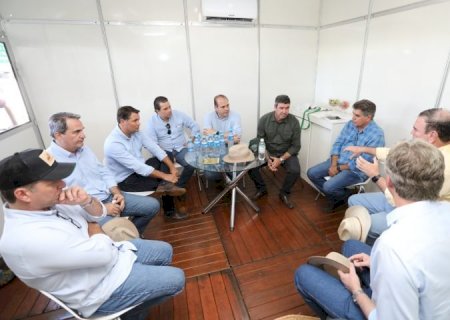 Governo discute decreto de emergência pela gripe aviária com autoridades sanitárias e lideranças rurais