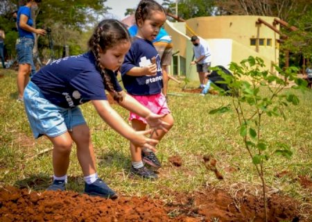 Ação da Agems vai monitorar e realizar novos plantios no Parque dos Poderes