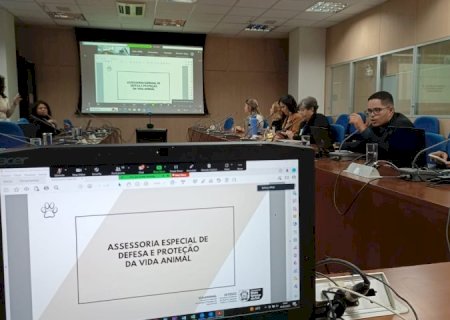 Programa MS Vida Animal é apresentado como projeto modelo no Ministério do Meio Ambiente