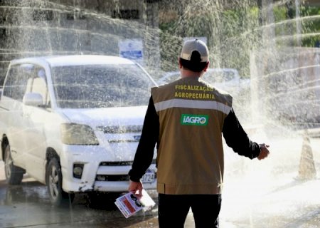 MS vai declarar Estado de Emergência Zoosanitária e intensificar ações de prevenção à influenza aviária
