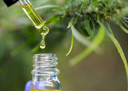 Tribunal concede liminares para permitir cultivo de Cannabis com fim medicinal sem risco de repressão
