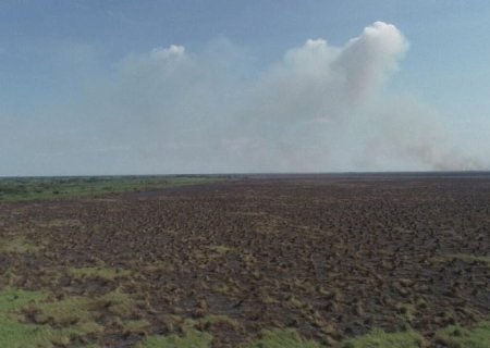 Com tecnologia e técnica, bombeiros de MS extinguem fogo na região do Pantanal