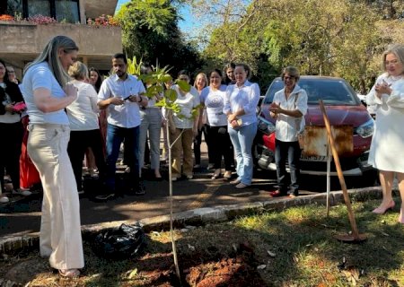 “Agosto Dourado”: SES dá início às ações de incentivo à amamentação com o plantio de muda de Ipê Branco