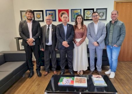Sejusp e Ministério dos Povos Indígenas discutem ações de segurança voltadas às aldeias de MS