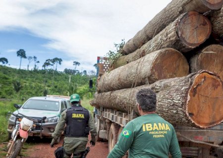 Governo autoriza contratação de 257 servidores para o Ibama