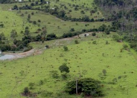 Aberto o prazo para entrega da Declaração do Imposto Territorial Rural