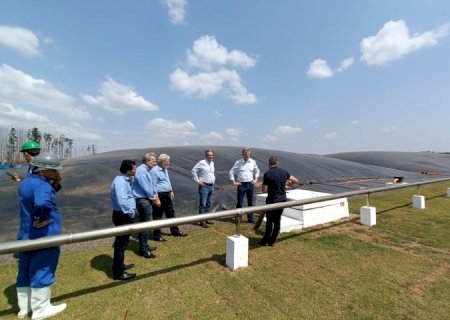 Fomento do Governo para produção de energia renovável quintuplica número de usinas de biogás em 8 anos