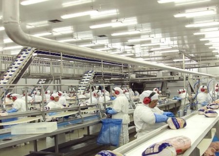 Após ação para controlar gripe aviária, Japão anuncia fim do embargo às exportações de frango de MS