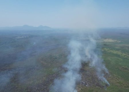 Projeto em MS busca alternativa para evitar incêndios no Pantanal
