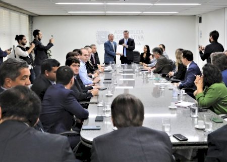 Lei do Pantanal visa proteção do bioma e produção sustentável