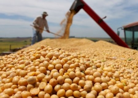 MS Agro 2023 debate perspectivas econômicas