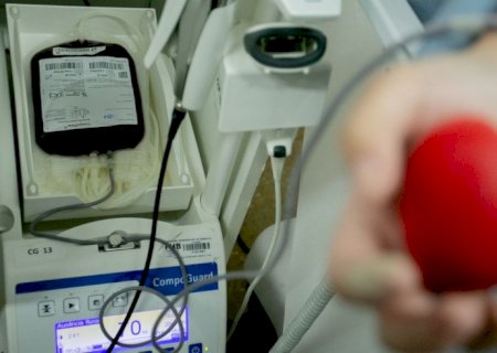App que incentiva doação de sangue já pode ser baixado