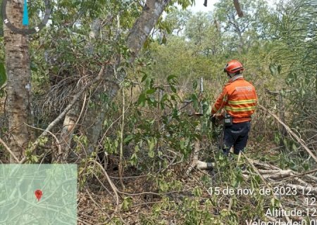 Bombeiros de MS fazem força-tarefa para controlar incêndios no Pantanal