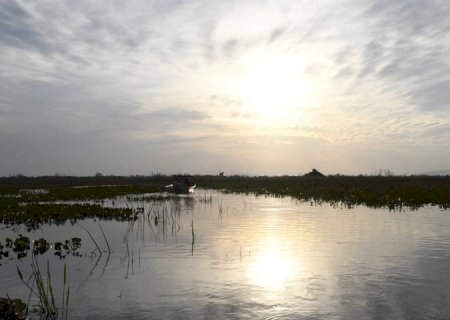 Lei do Pantanal tem reconhecimento de entidades e ONGs