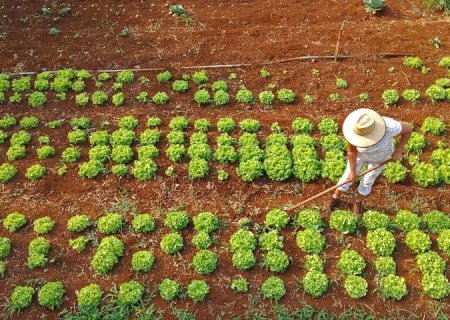 Com projeto na agricultura familiar, MS dá mais um passo para se tornar carbono neutro até 2030