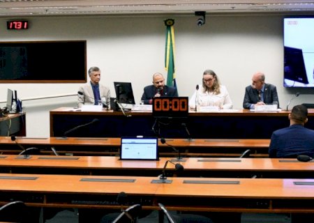 Comissão da Câmara autoriza estados a legislarem sobre armas