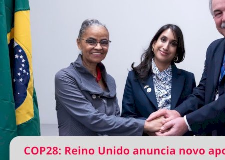 Reino Unido anuncia mais R$ 215 milhões para o Fundo Amazônia