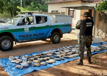 Operação Piracema apreende quase 1 tonelada de pescado