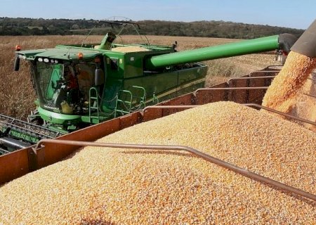 Mato Grosso do Sul já colhe soja e mantém estimativa de 54 sacas por hectare, diz Siga-MS