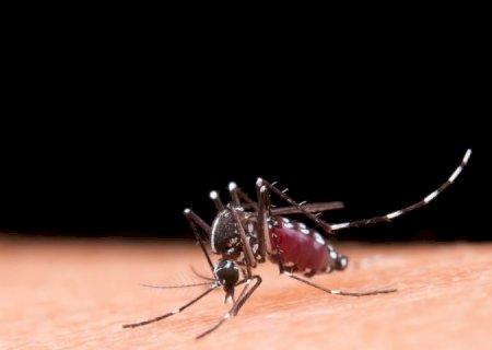 Saúde orienta como diferenciar os sintomas da dengue e da gripe
