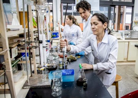 Fruta símbolo de MS pode ter óleo usado em cosméticos