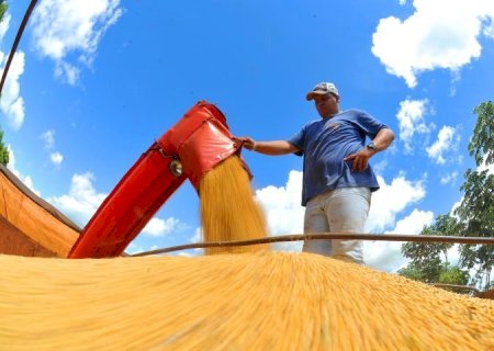 Colheita da soja supera 30% em Mato Grosso do Sul