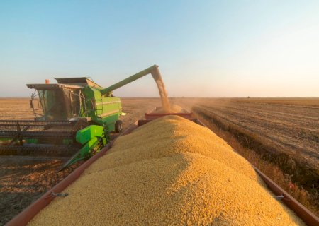 Colheita da soja supera 3,7 milhões de hectares em Mato Grosso do Sul