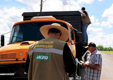 Iagro terá concurso para área de fiscalização e defesa sanitária