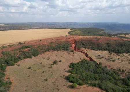 Mato Grosso do Sul realiza maior projeto de restauração do país
