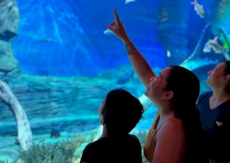 Bioparque abre inscrições para Jornada de Pesquisa e Tecnologias