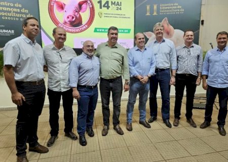 Programa Leitão Vida já garantiu mais de R$ 50 milhões em incentivos
