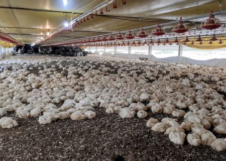 FCO aprova R$ 138,9 milhões em novos empreendimentos para MS