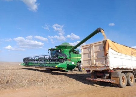 Mato Grosso do Sul conclui colheita da soja e plantio do milho