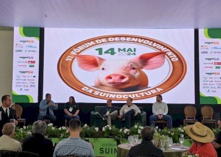 Programa Leitão Vida repassou R$ 59 milhões aos produtores de MS