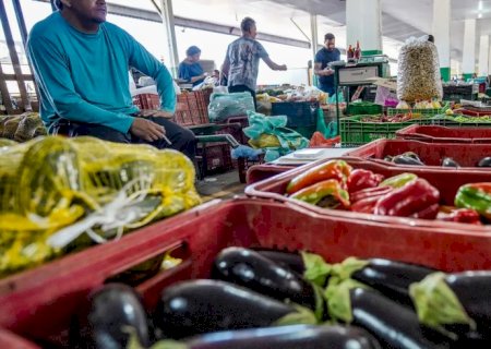 Batata, banana, laranja e melancia estão mais baratas, segundo a Conab