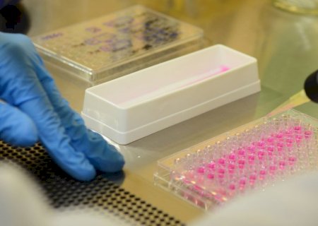 Vírus zika pode voltar a se replicar após recuperação, aponta estudo