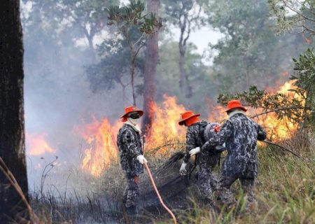 Sob coordenação dos bombeiros de MS, Força Nacional já atua no combate ao fogo no Pantanal