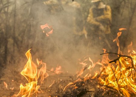 Governo destina R$ 137,6 milhões para combate a queimadas no Pantanal