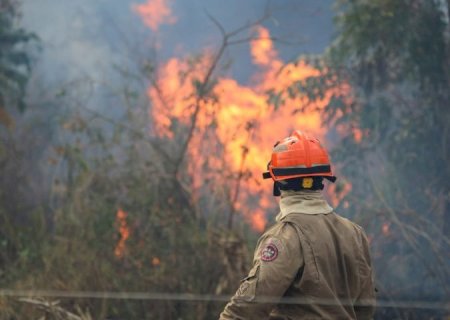 Bombeiros do MS lutam para conter grandes chamas na região do Nabileque