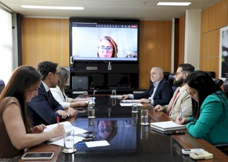 Numopede debate ações para aprimorar monitoramento de demandas predatórias