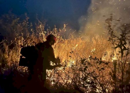 Defesa Civil de MS recebe R$ 13,4 milhões para ajuda humanitária e ações de enfrentamento aos incêndios no Pantanal